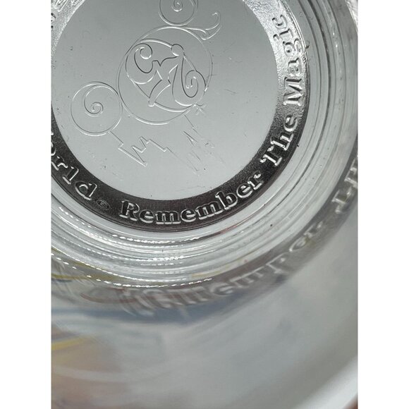 Disney World 25 year "Remember the Magic" Blizzard Beach Typhoon Lagoon READ - Picture 6 of 6